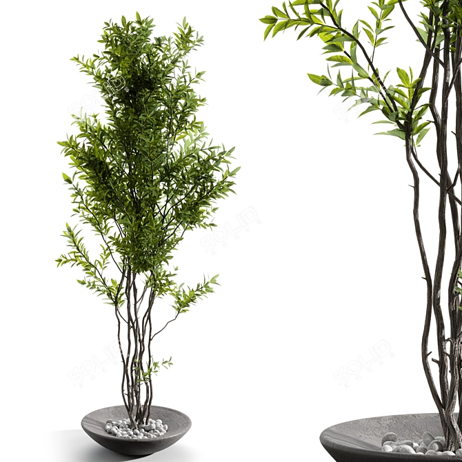 Elegant Branches in Glass Vases 3D model image 1