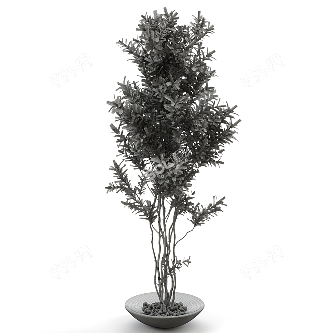 Elegant Branches in Glass Vases 3D model image 2