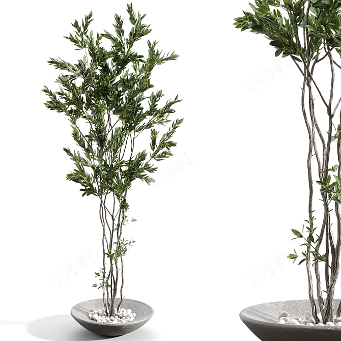  Natural Branches in Glass Vases 3D model image 1