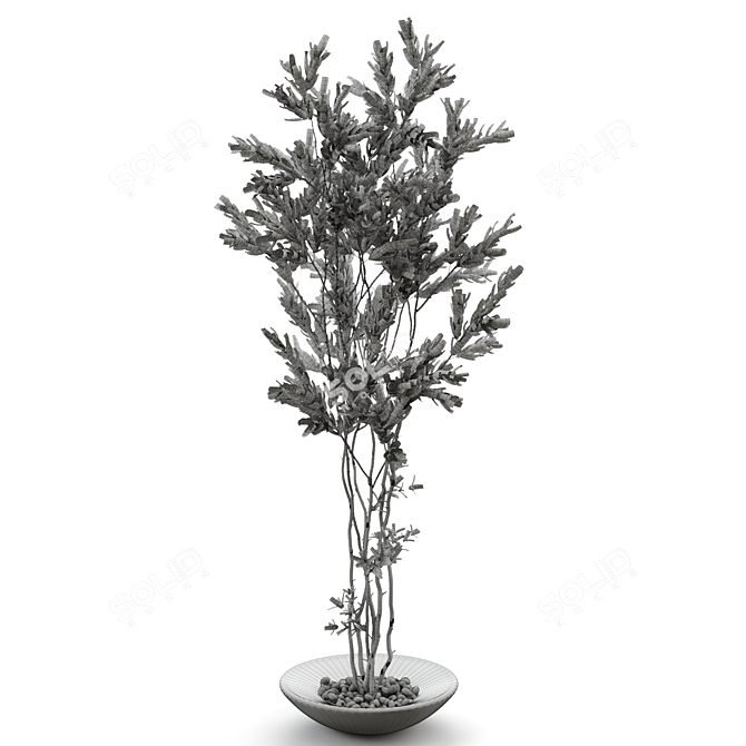  Natural Branches in Glass Vases 3D model image 2