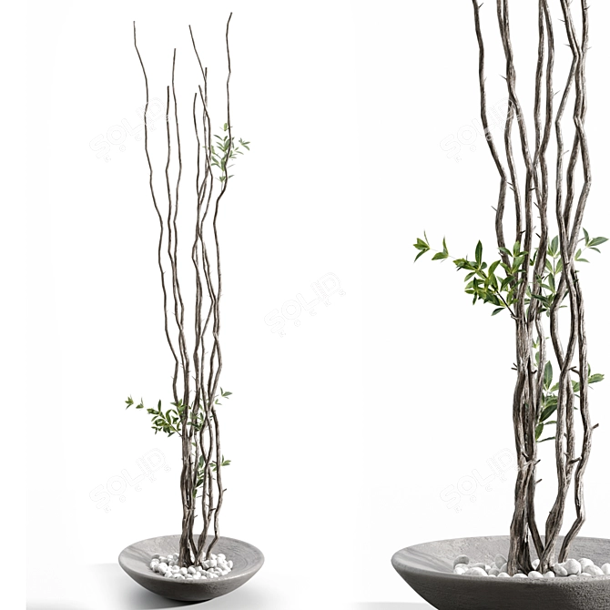 Elegant Branches in Sleek Vase 3D model image 1