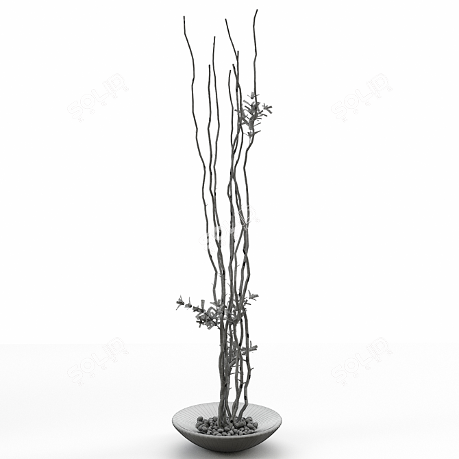 Elegant Branches in Sleek Vase 3D model image 2