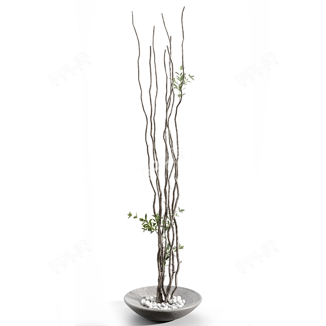 Elegant Branches in Sleek Vase 3D model image 3