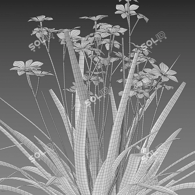 Variety 3D Plant Models Bundle 3D model image 4