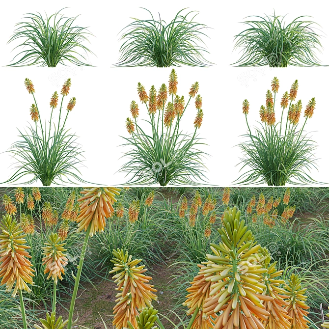 3D Plant Models Collection: Vray Compatibility 3D model image 1