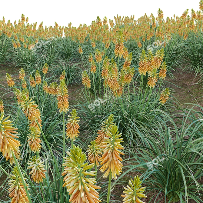 3D Plant Models Collection: Vray Compatibility 3D model image 6