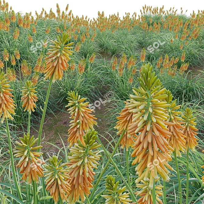 3D Plant Models Collection: Vray Compatibility 3D model image 7