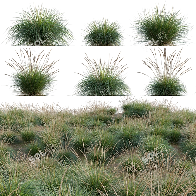 Diverse 3D Plant Models Collection 3D model image 1