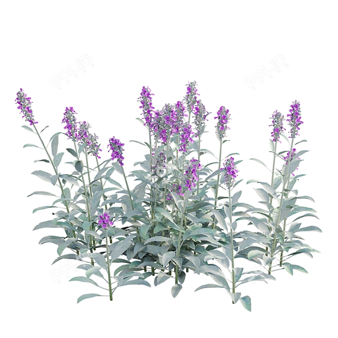 Diverse 3D Plant Models Solution 3D model image 5