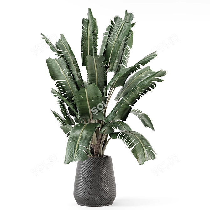 Rusty Concrete Pot Indoor Plants 3D model image 4