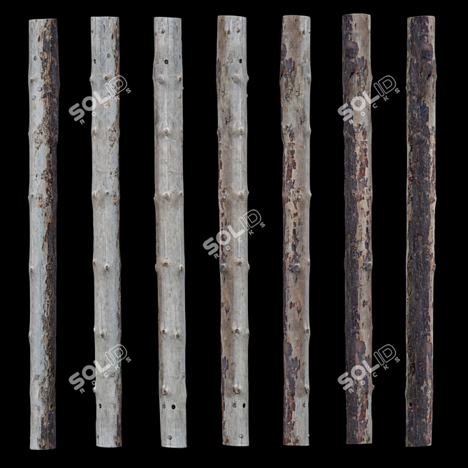 Natural Log, 1 Piece 3D model image 4