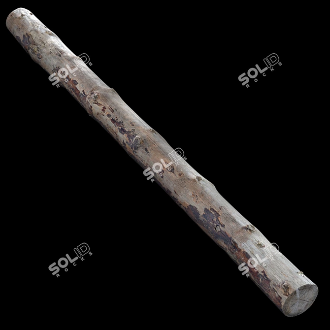 Natural Log, 1 Piece 3D model image 5