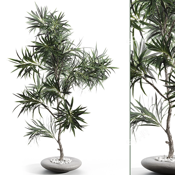 Modern Branches in Elegant Vases 3D model image 1