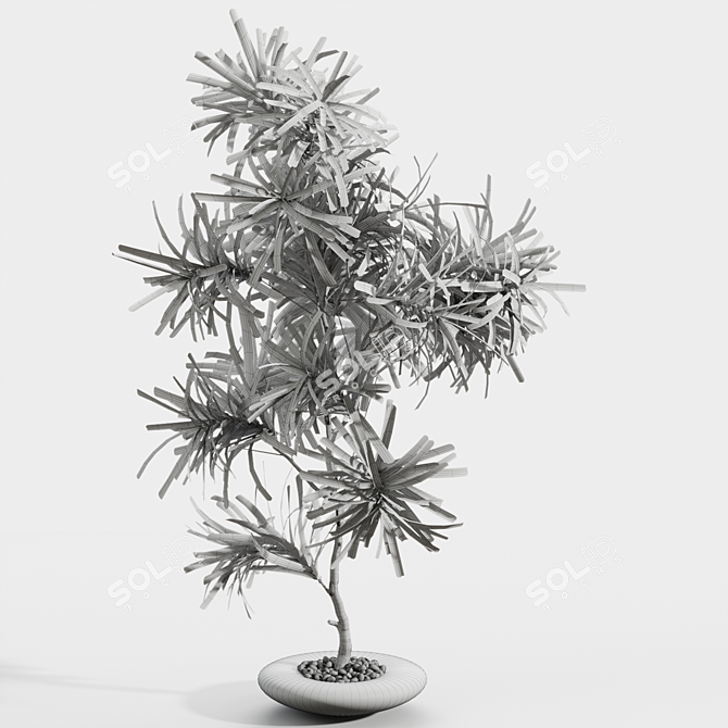 Modern Branches in Elegant Vases 3D model image 2