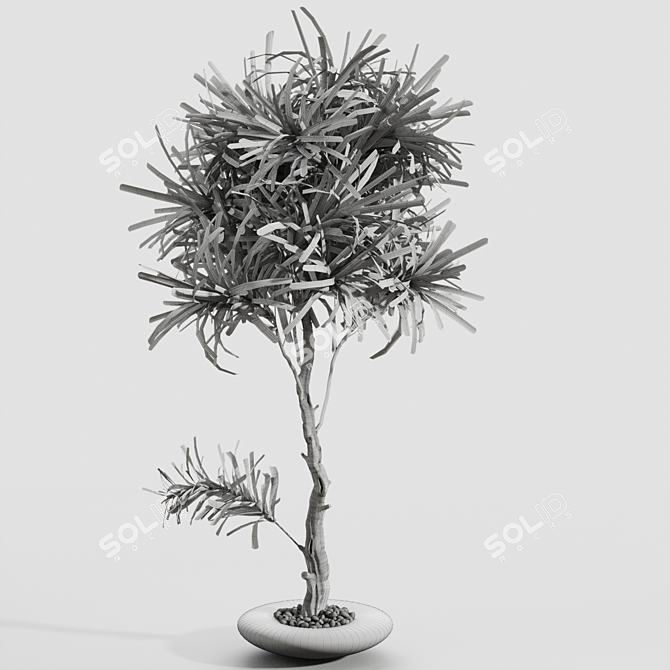 Minimalist Branches in Glass Vases 3D model image 3