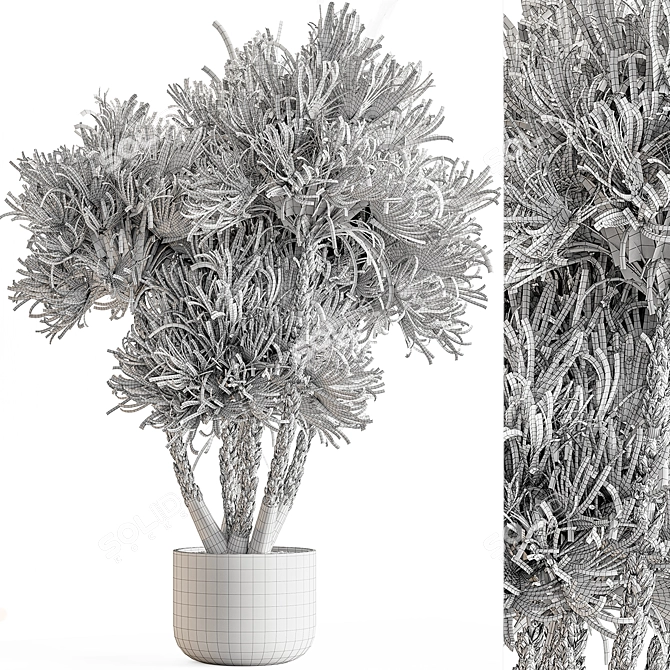  Tree in Pot 748 - Indoor 3D model image 4