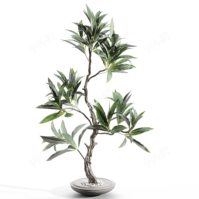 Elegant Branches in Vases 3D model image 1