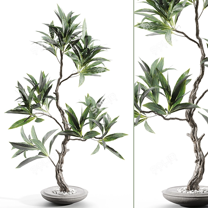 Elegant Branches in Vases 3D model image 2