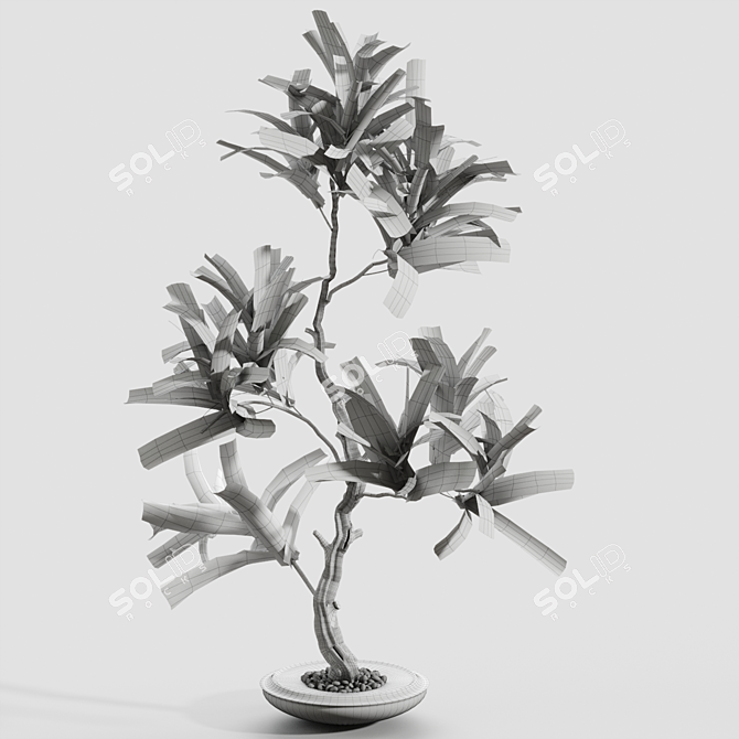 Elegant Branches in Vases 3D model image 3