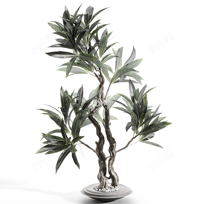 Title: Elegant Vase with Branches 3D model image 2