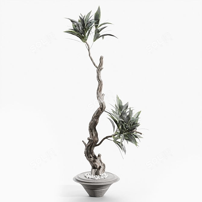 Elegant Tree Branches in Vases 3D model image 2