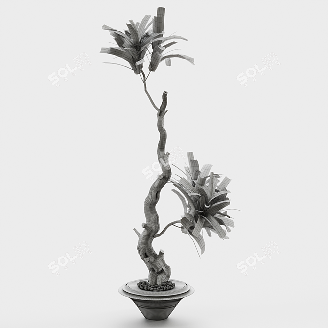 Elegant Tree Branches in Vases 3D model image 3