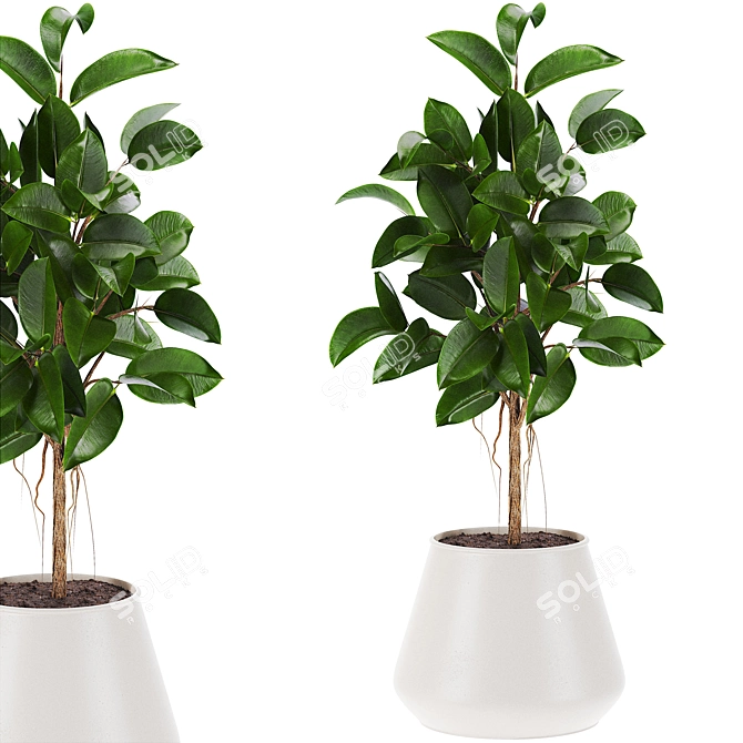 210K Poly 3D Plants Set 3D model image 1