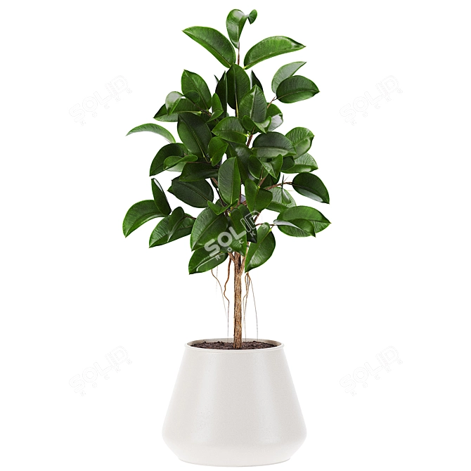 210K Poly 3D Plants Set 3D model image 2