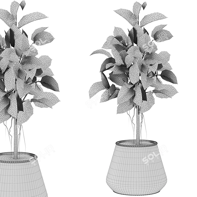 210K Poly 3D Plants Set 3D model image 3