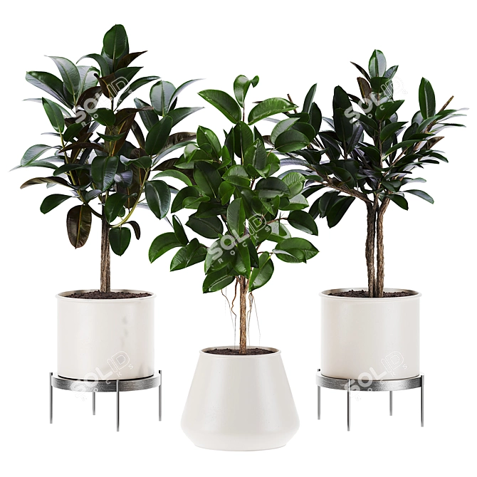 Premium Plant Set 3D Model 3D model image 1