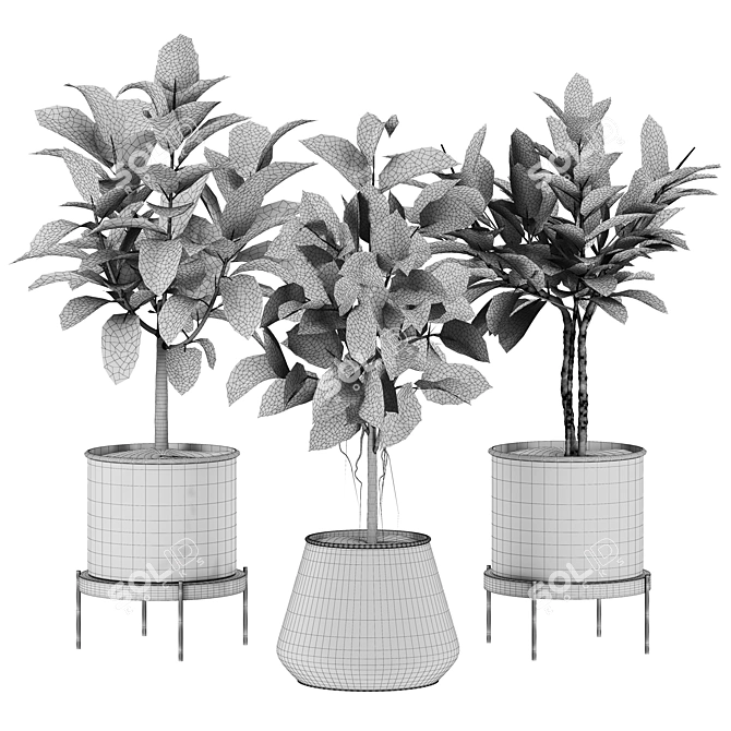 Premium Plant Set 3D Model 3D model image 2