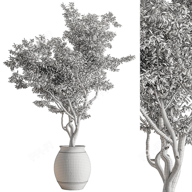 735 Tree in Pot 3D model image 4