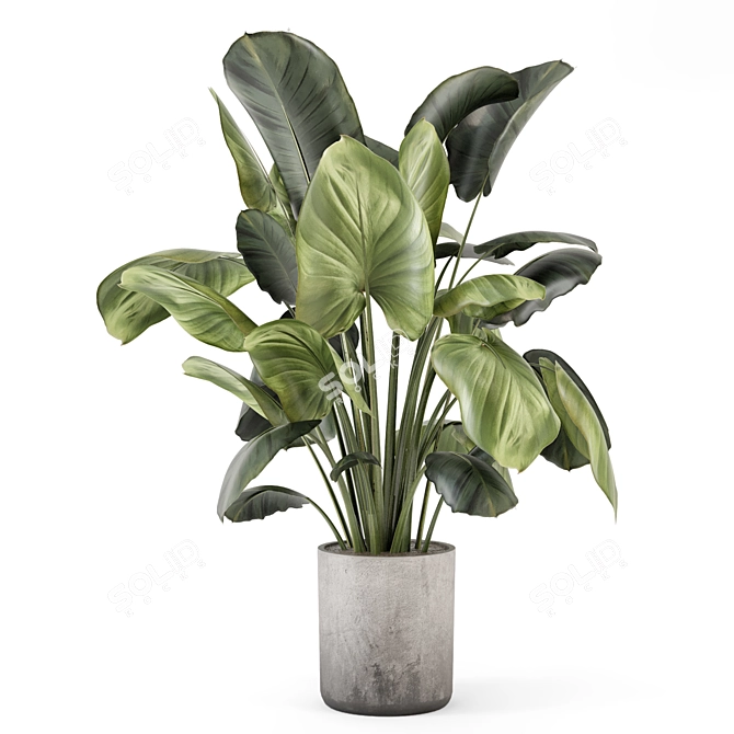 Handmade Stone Pot Indoor Plants 3D model image 1