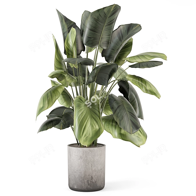 Handmade Stone Pot Indoor Plants 3D model image 2