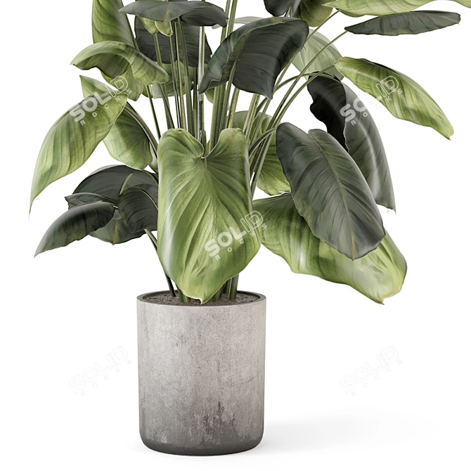 Handmade Stone Pot Indoor Plants 3D model image 4