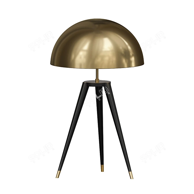 Fairbank Fife Tripod Table Lamp 3D model image 1