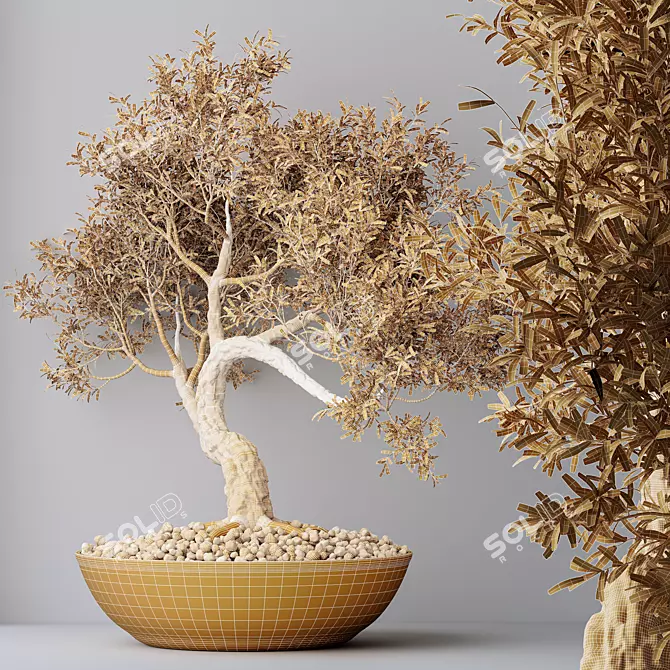 Versatile Olive Tree Set 3D model image 4