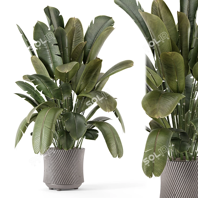 Artisan Stone Pot Indoor Plants 3D model image 1