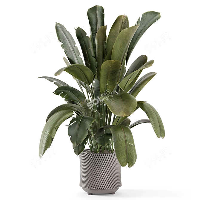 Artisan Stone Pot Indoor Plants 3D model image 4