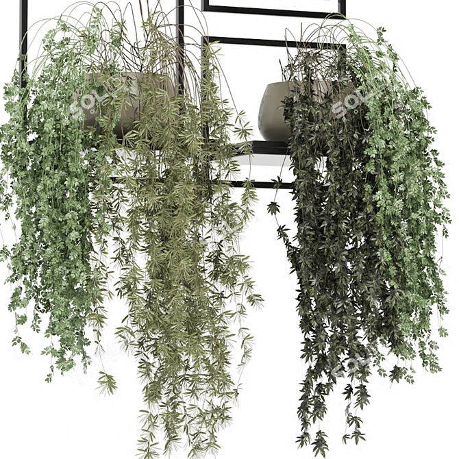 Indoor Hanging Plants Metal Shelf 3D model image 5