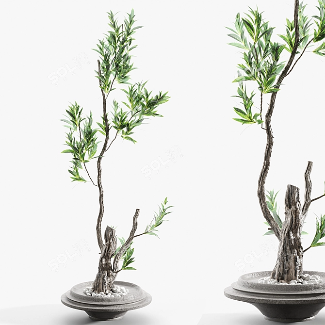 Artistic Branches in Elegant Vases 3D model image 1