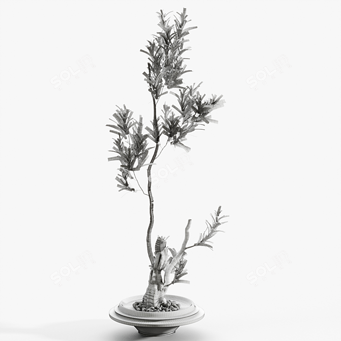 Artistic Branches in Elegant Vases 3D model image 2