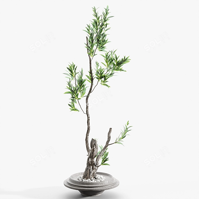 Artistic Branches in Elegant Vases 3D model image 3