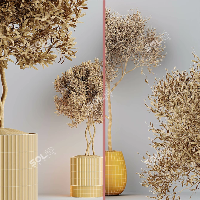 Elegant Indoor Olive Tree Set 3D model image 6