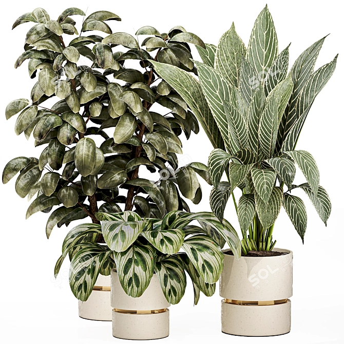 Detailed Indoor Plant 3D Model 3D model image 1