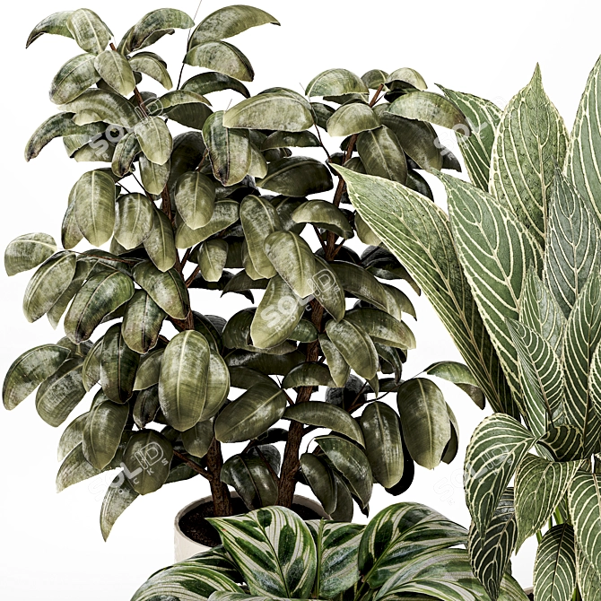 Detailed Indoor Plant 3D Model 3D model image 2