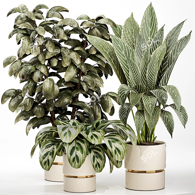 Detailed Indoor Plant 3D Model 3D model image 5