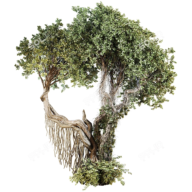 High-Quality Jungle Tree Model 3D model image 2