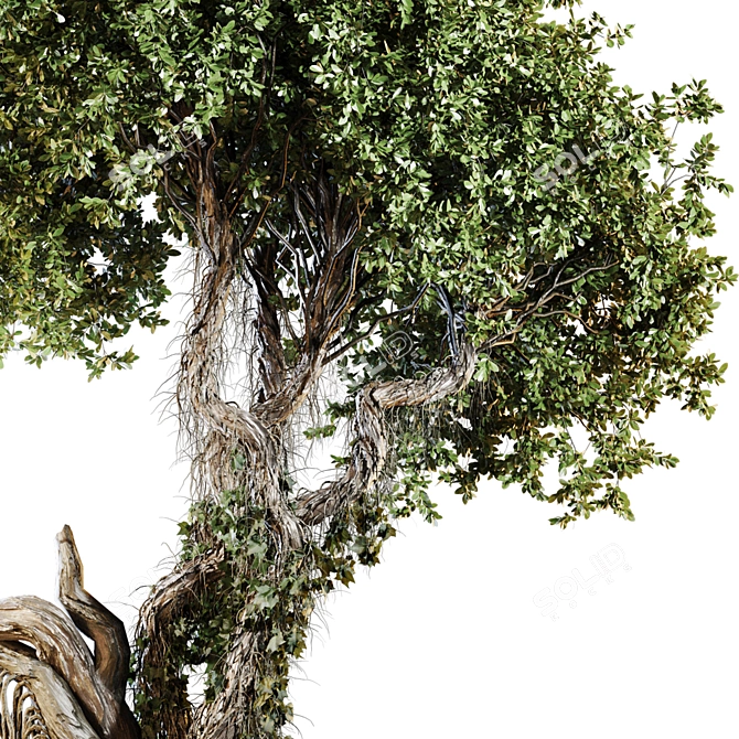 High-Quality Jungle Tree Model 3D model image 6