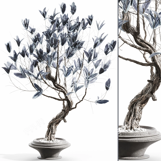 Elegant Branches in Glass Vases 3D model image 1